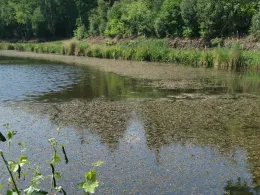 Kleiner Schöninghsee-2