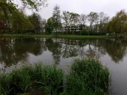 Weichpfuhl (Luckenwalde)-2