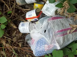 Kalksteinbruch (Halle)-3