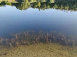 Kalksteinbruch (Halle)