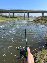 Weiße Elster (Leipzig-Hartmannsdorf)-2