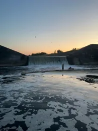 Weiße Elster (Leipzig-Hartmannsdorf)-3