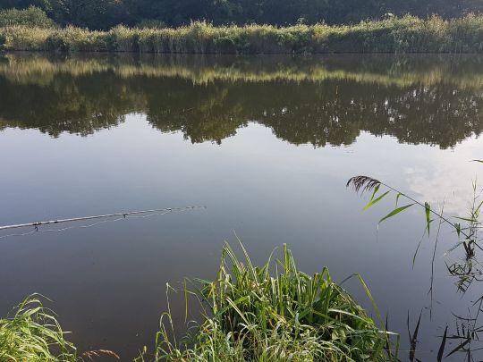 Torfstich Talgraben (Trebbin)-4