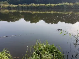 Torfstich Talgraben (Trebbin)-4