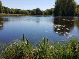 Torfstich Talgraben (Trebbin)-4