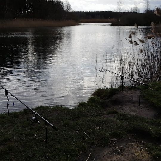 Torfstich Talgraben (Trebbin)-3