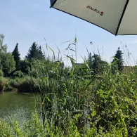 Lokbad (Frankfurt/Oder)-1