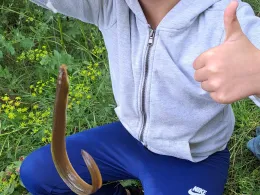 Lokbad (Frankfurt/Oder)-2