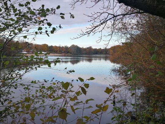 Plötzensee (Berlin-Plötzensee)-4