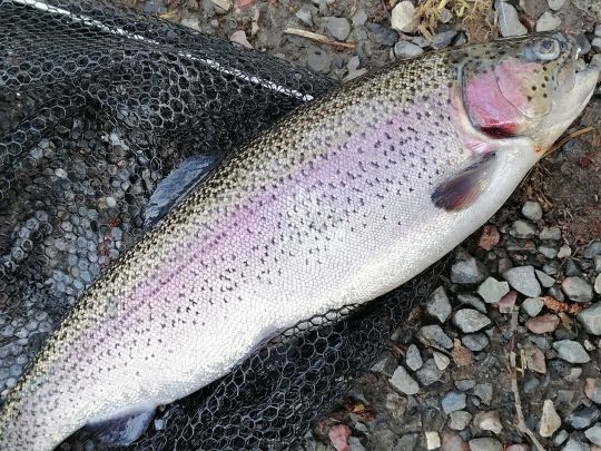 Angelparadies Papenberg-2