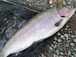 Angelparadies Papenberg-2