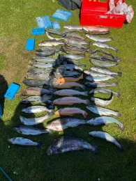 Angelparadies Papenberg