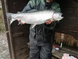 Angelparadies Papenberg-1