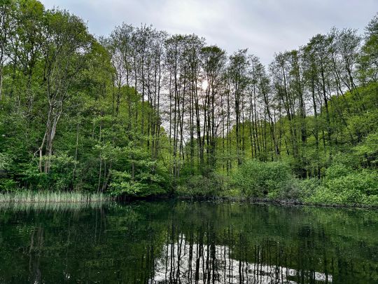 Lustsee (Langwedel)-2