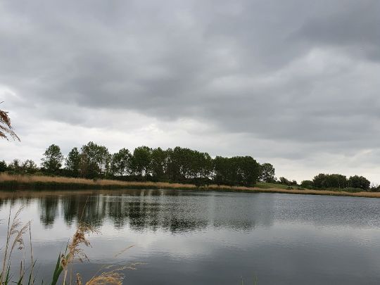 Pumpenteich (Osternienburg)-1