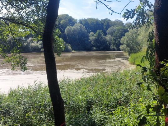 Oberer Romsdorfer Teich-4