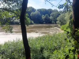 Oberer Romsdorfer Teich-4