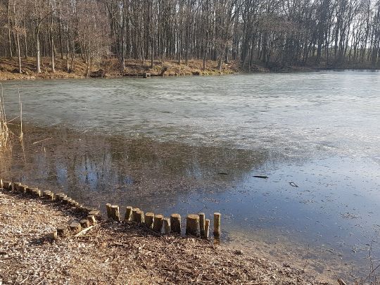 Oberer Romsdorfer Teich-2