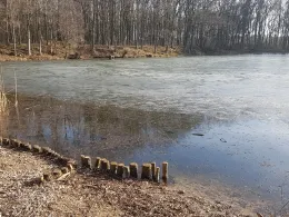 Oberer Romsdorfer Teich-2