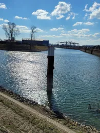 Rheinauhafen (Mannheim)-1