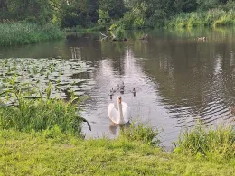 Paar (Hohenwart-Freinhausen)