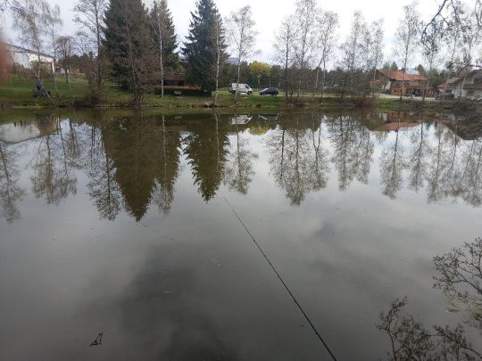 Angelweiher Linden-3