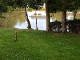 Angelweiher Linden-0