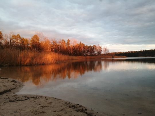Kiesgrube Rückersdorf-4