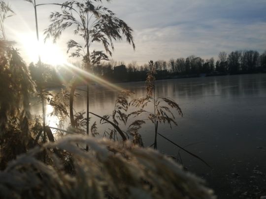 Kiesgrube Rückersdorf-1