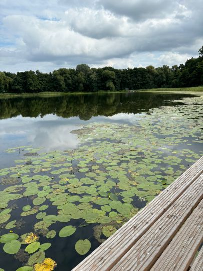 Großer See (Siedenbollentin)-1