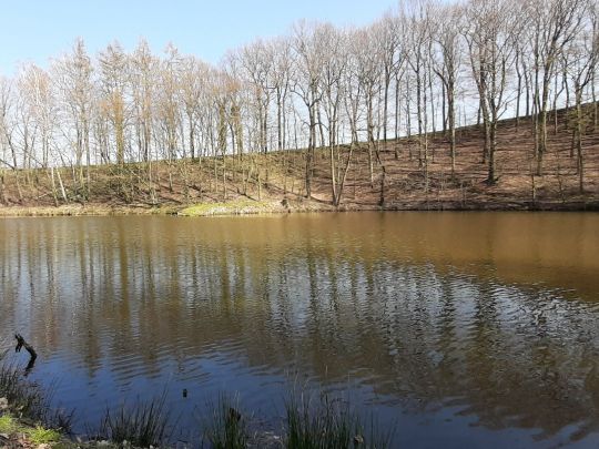 Brauereiteich Hainichen angeln