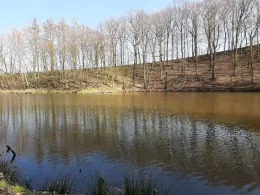 Brauereiteich Hainichen-1