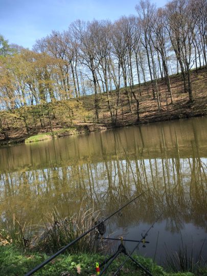 Brauereiteich Hainichen-4