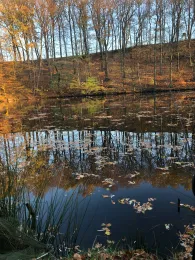 Brauereiteich Hainichen-3