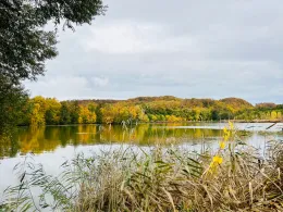 Schloßteich Rottleberode