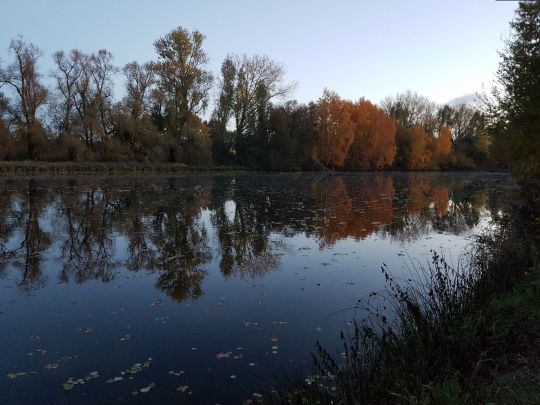 Wiesensee (Ebstorf)