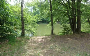 Mönchsteiche (Lich)-2