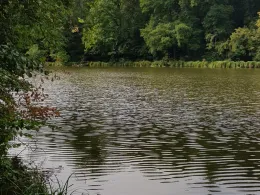 Mönchsteiche (Lich)-1