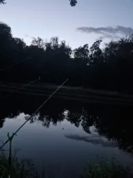 Mönchsteiche (Lich)-4