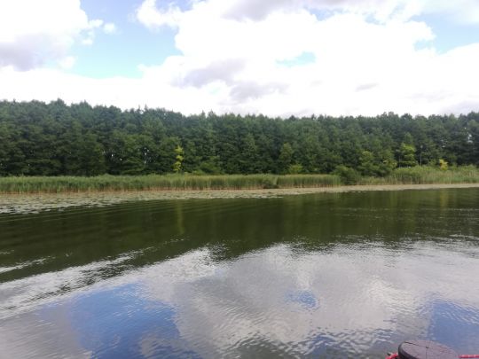 Finowsee (Wesenberg)