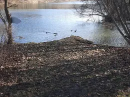 Lausitzer Neiße (Rothenburg/Oberlausitz)-1