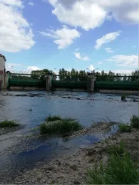 Lausitzer Neiße (Rothenburg/Oberlausitz)-2