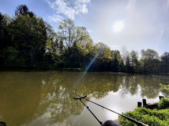 Bauerteich (Kemeten)