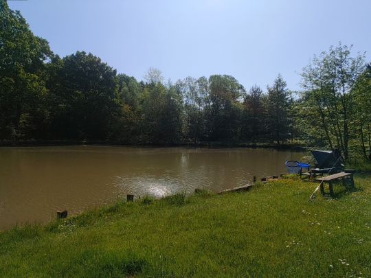 Bauerteich (Kemeten)-3