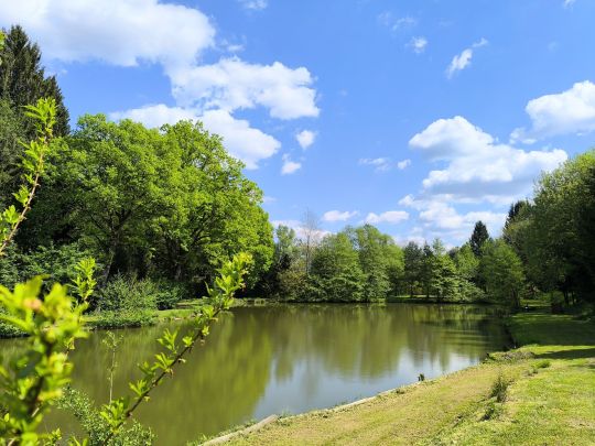 Bauerteich (Kemeten)-1