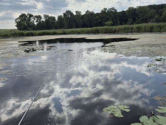 Krebsgrube (Hohenwutzen) 