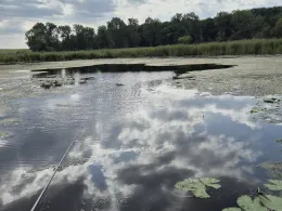 Krebsgrube (Hohenwutzen) 