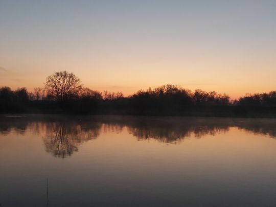 Weiße Elster (Zwenkau)-2