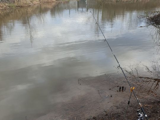 Weiße Elster (Zwenkau)-4