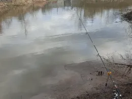 Weiße Elster (Zwenkau)-4